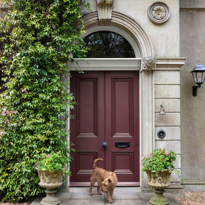 Five front door colours